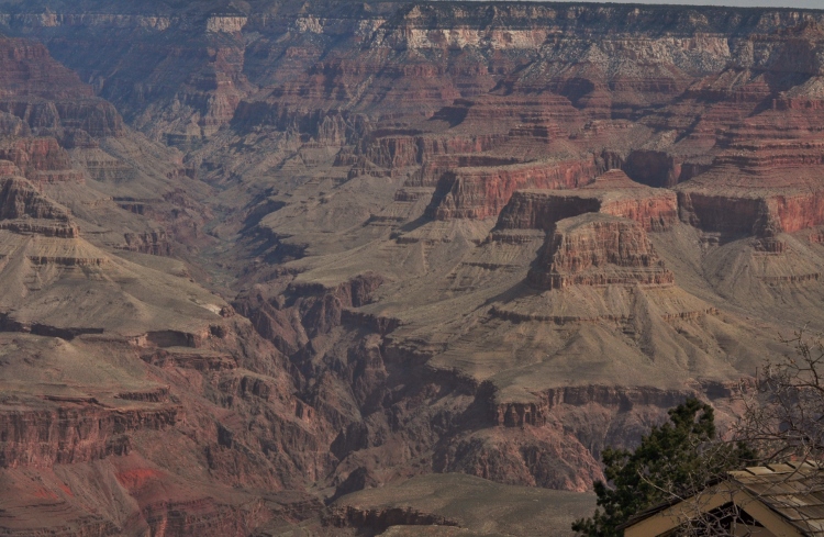 grand canyon south rim